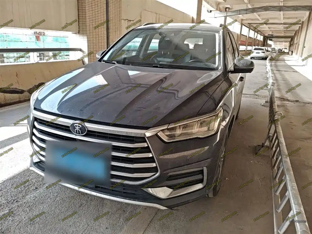 BYD Pro 2020