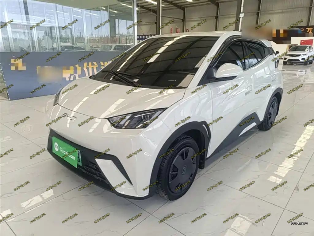BYD Seagull 2025