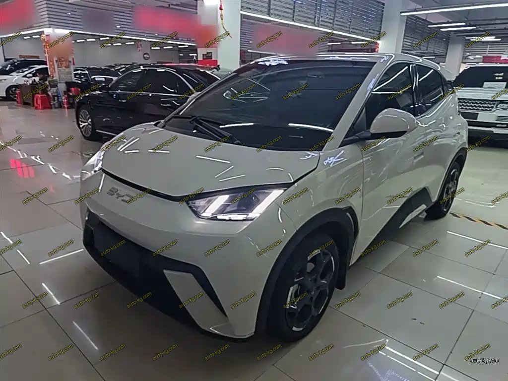 BYD Seagull 2024