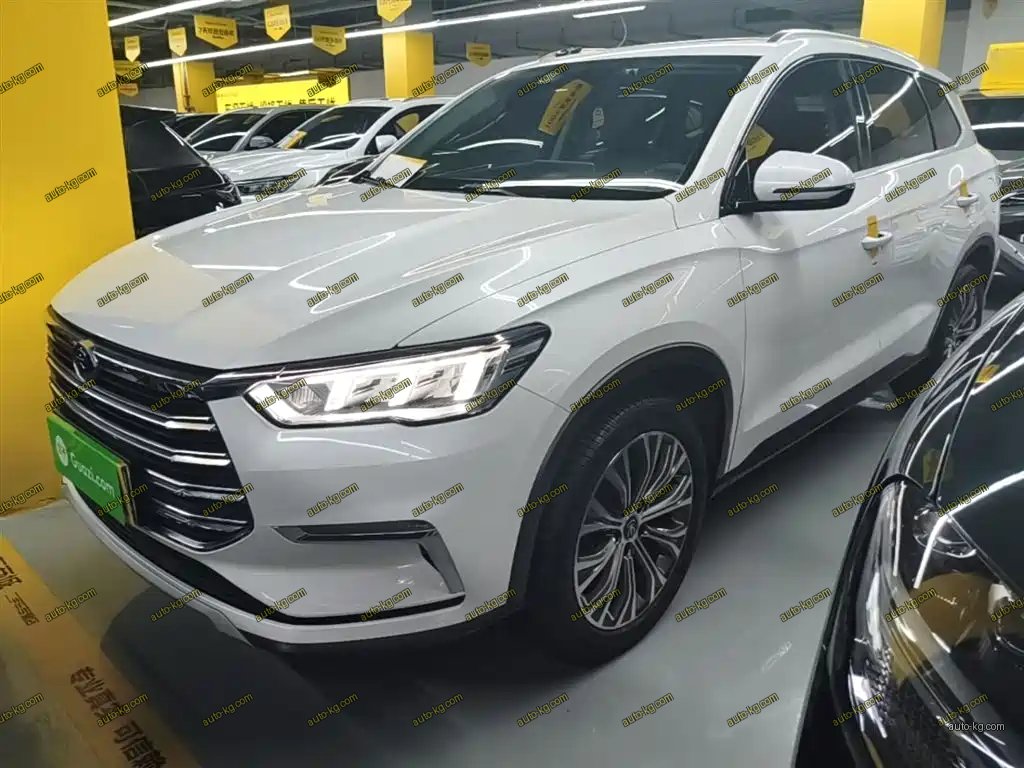 BYD Pro New Energy 2020