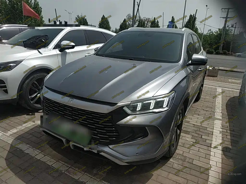BYD Pro New Energy 2024