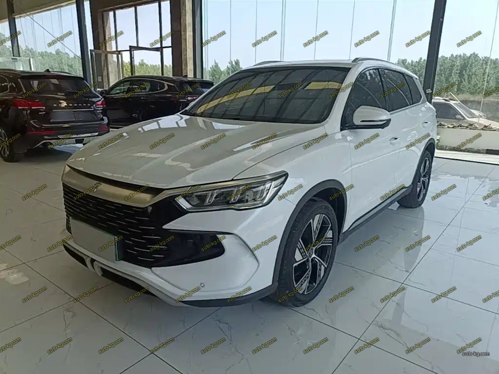 BYD Pro New Energy 2024