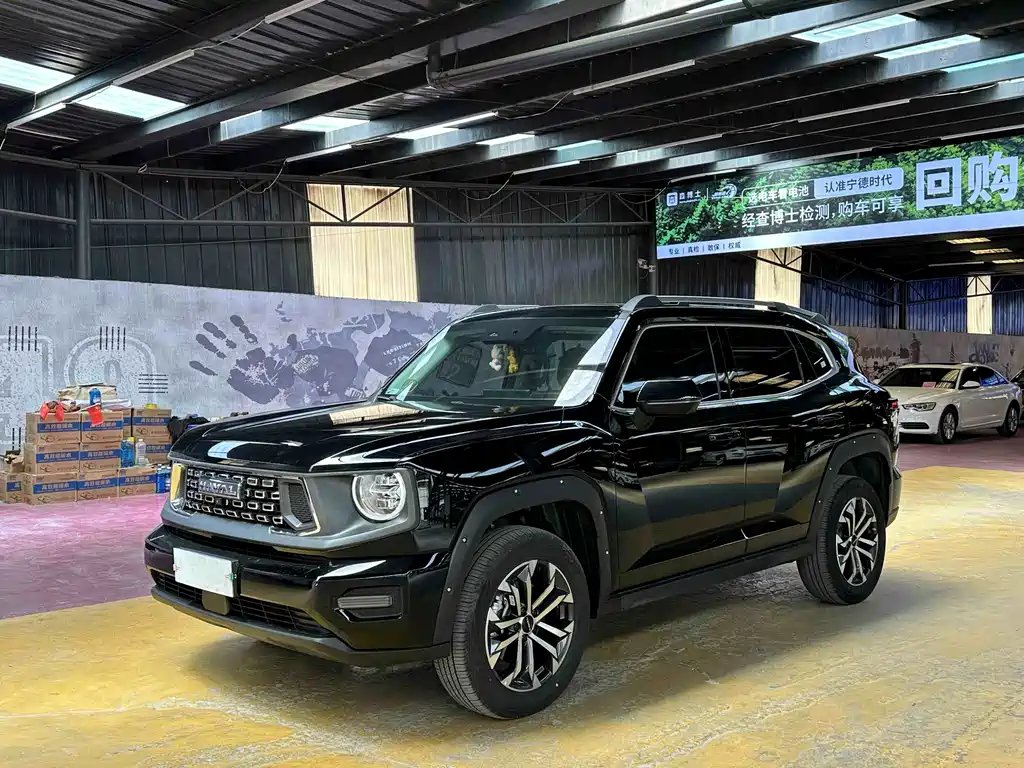 Haval HavalDargo PLUS 2025