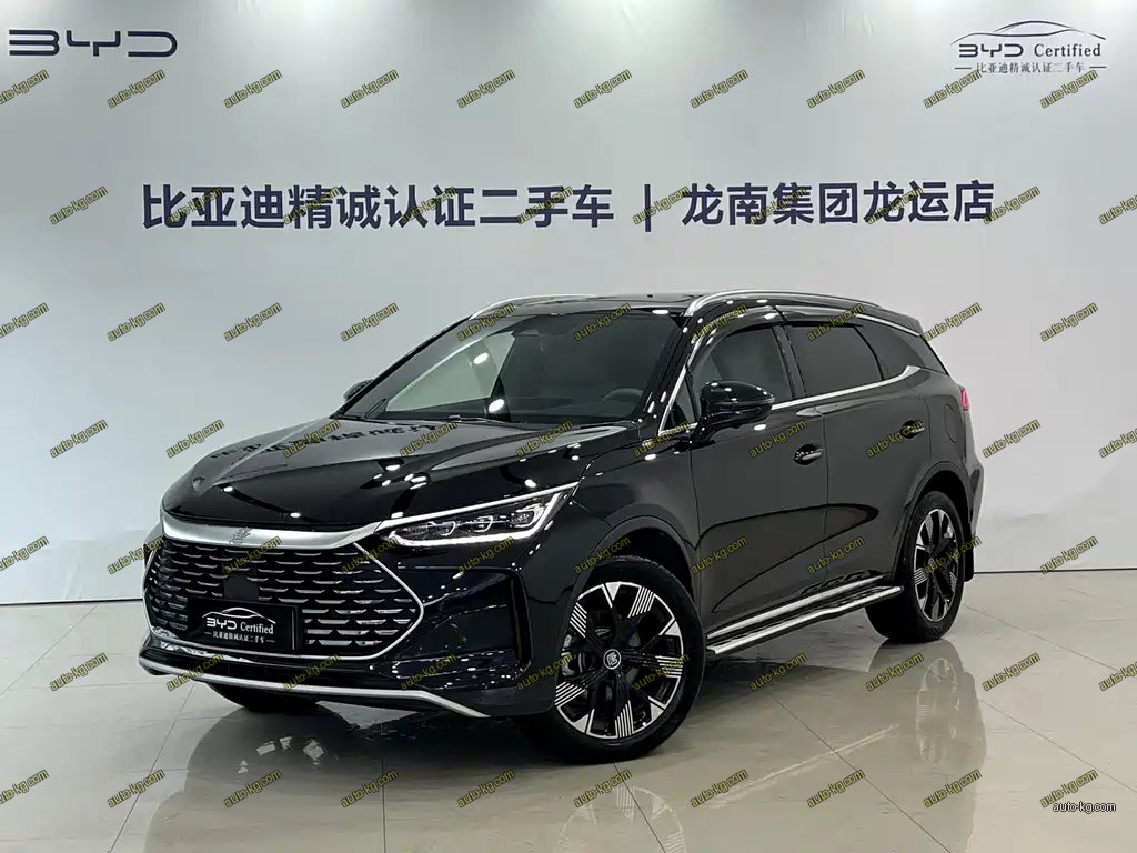 BYD Tang New Energy 2024