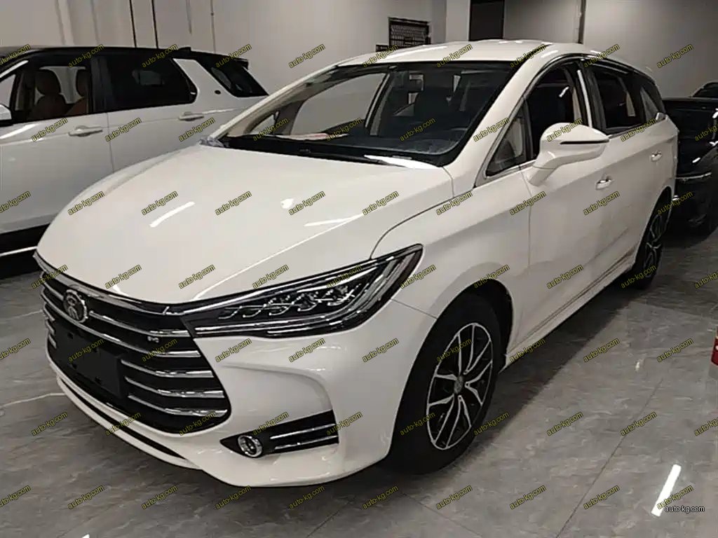 BYD MAX 2018