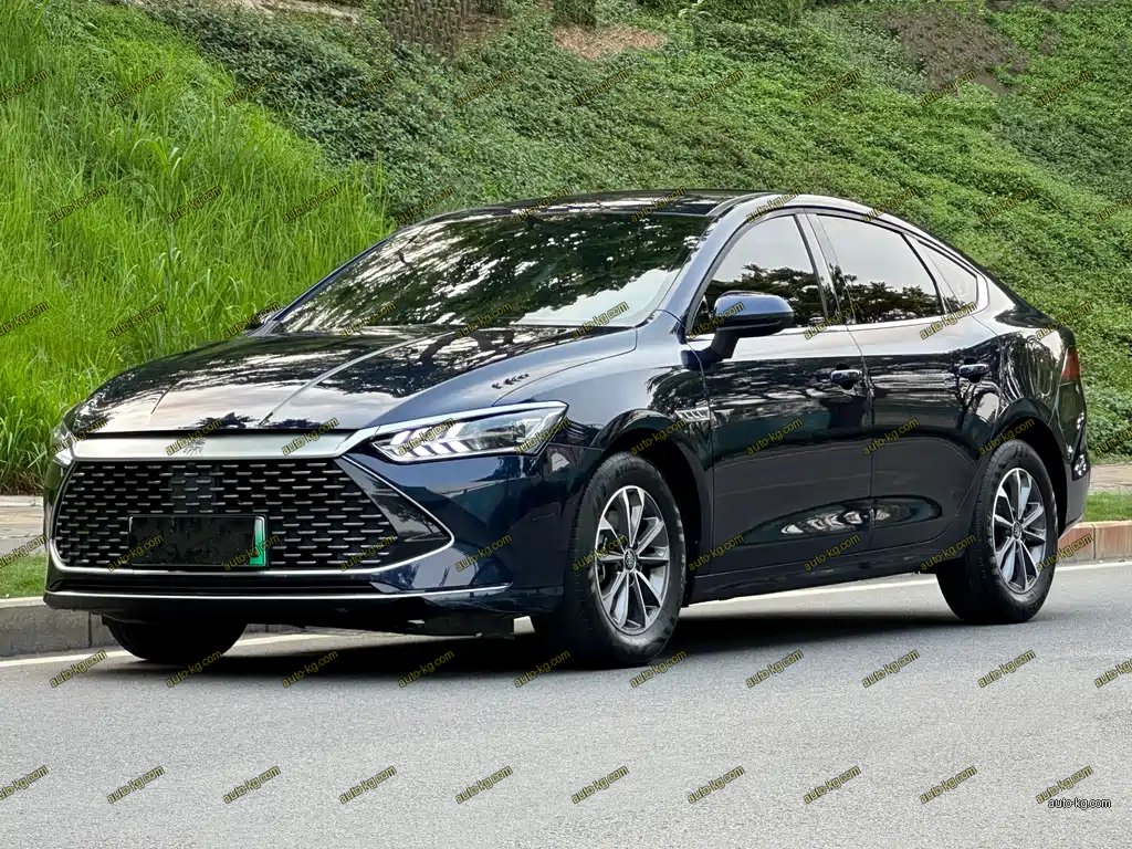 BYD Qin PLUS 2024