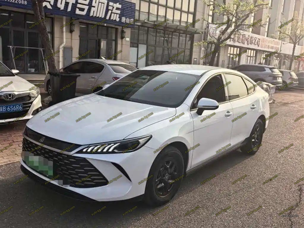 BYD Qin PLUS 2025