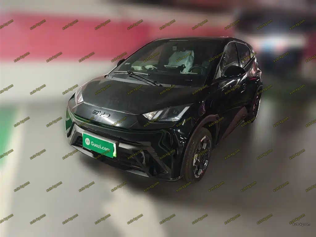 BYD Seagull 2025
