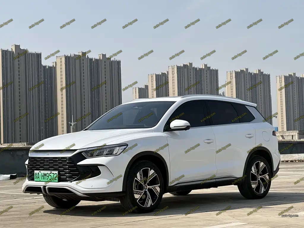BYD Pro New Energy 2024