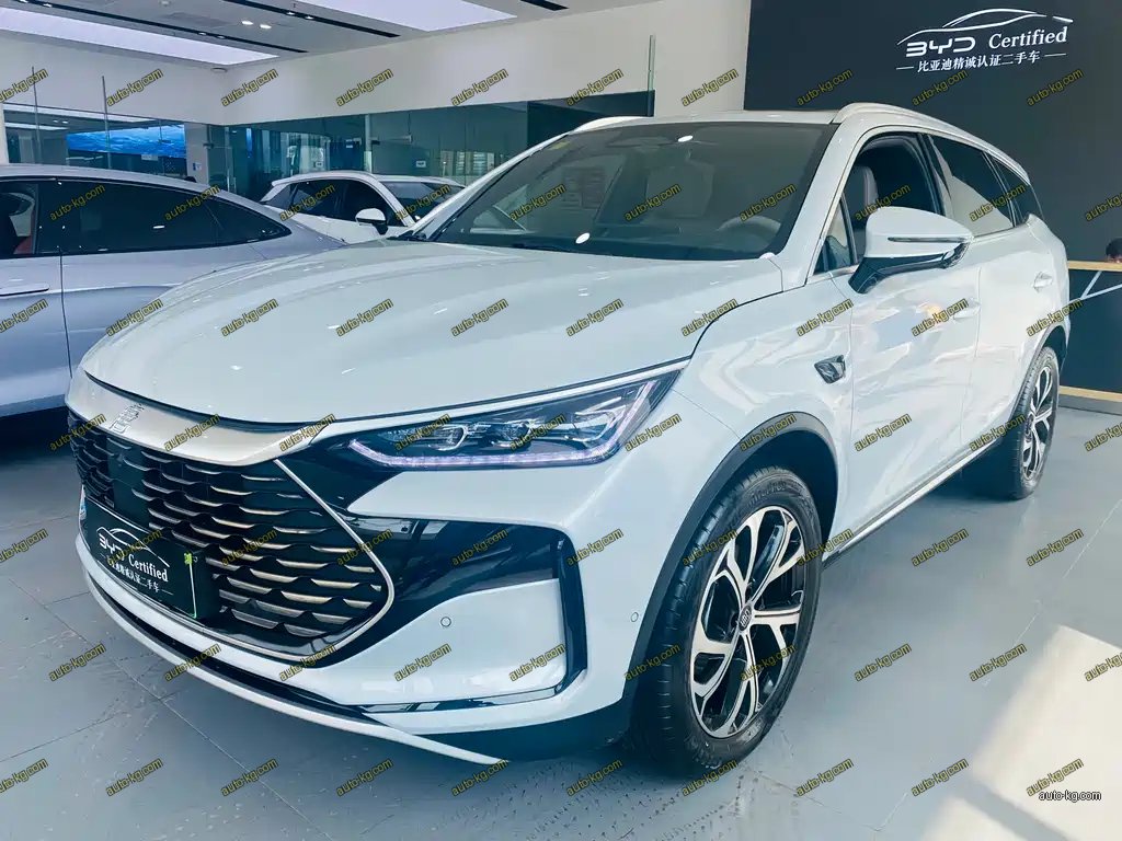 BYD Tang New Energy 2025