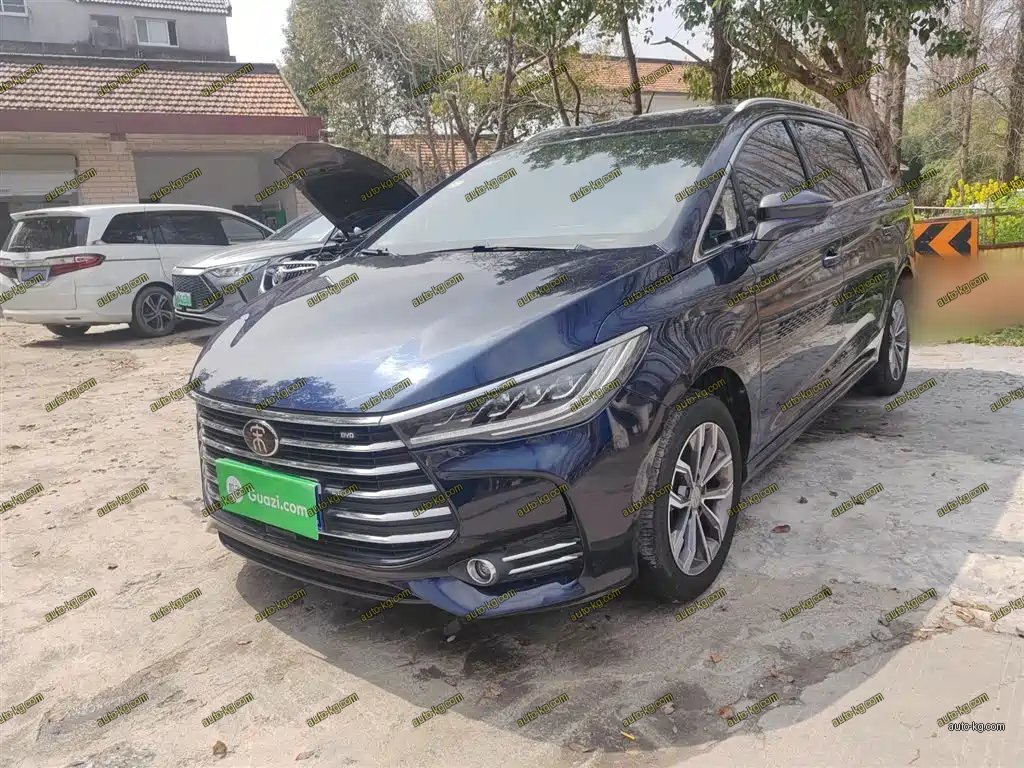 BYD MAX 2020