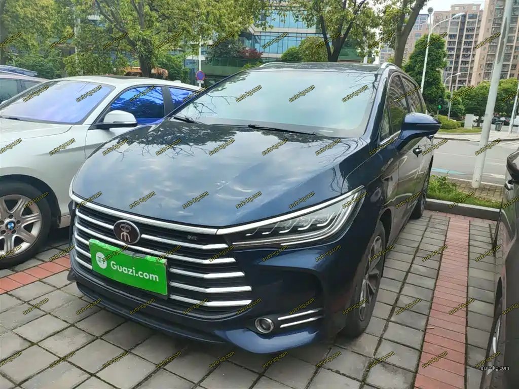 BYD MAX 2019