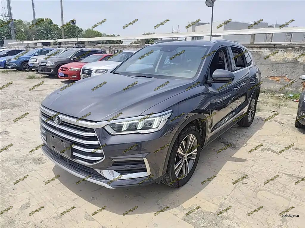 BYD Pro 2020
