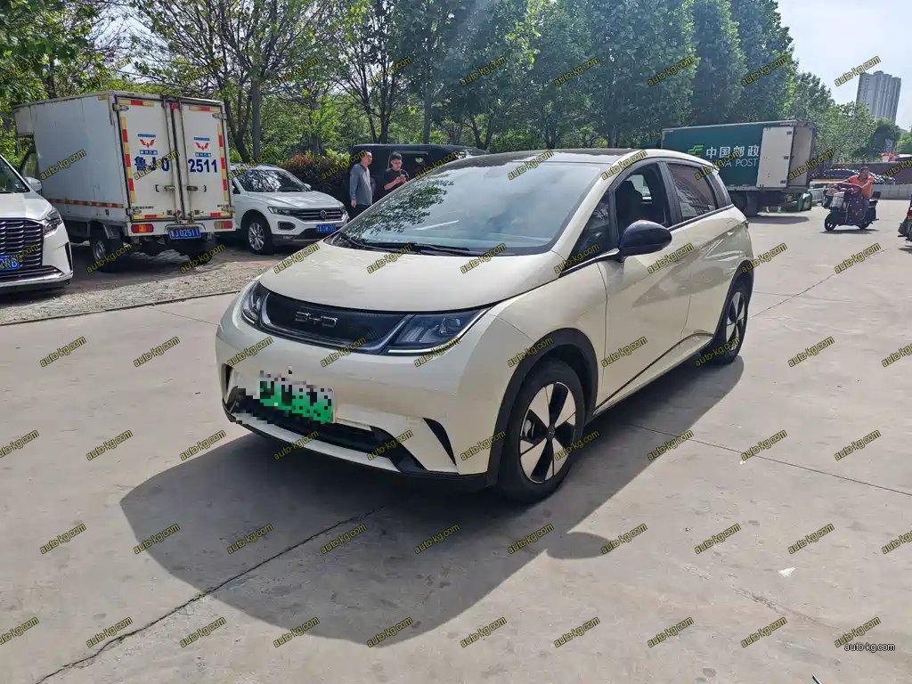 BYD Dolphin 2023