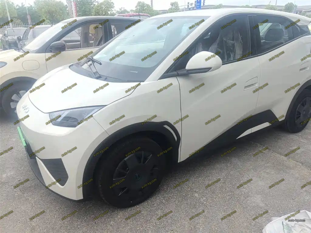 BYD Seagull 2026