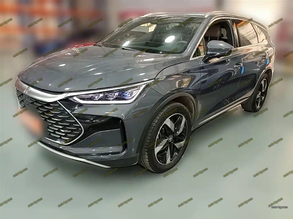 BYD Tang New Energy 2024