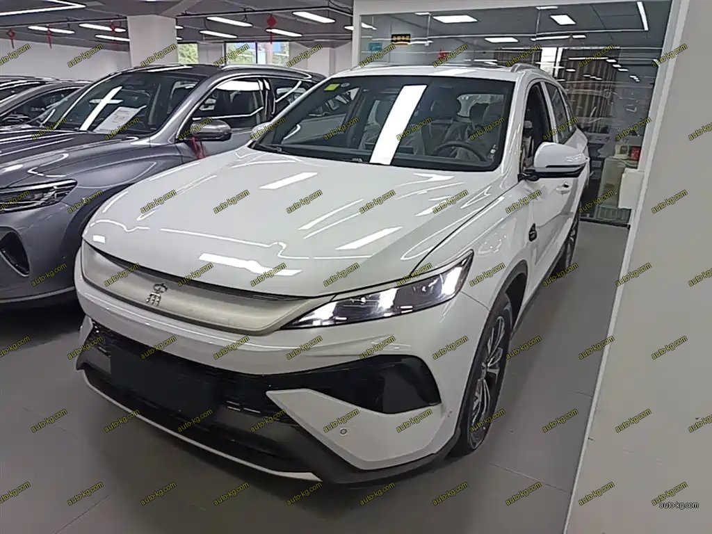 BYD Pro New Energy 2025