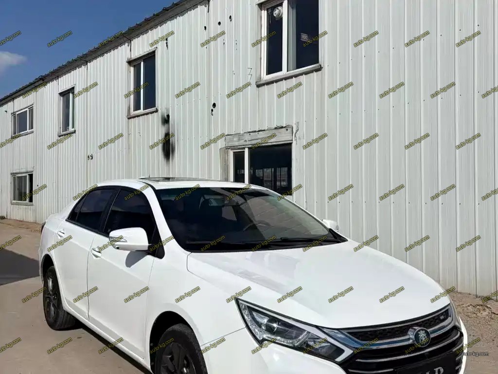 BYD Qin NEV 2019