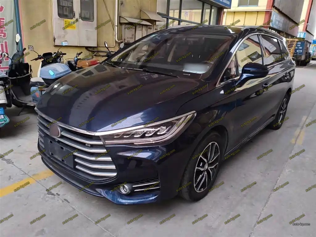 BYD MAX 2019