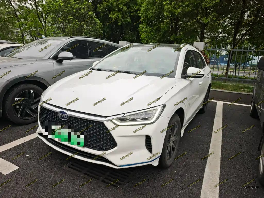 BYD e2 2021