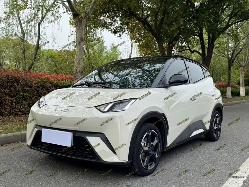 BYD Seagull 2024