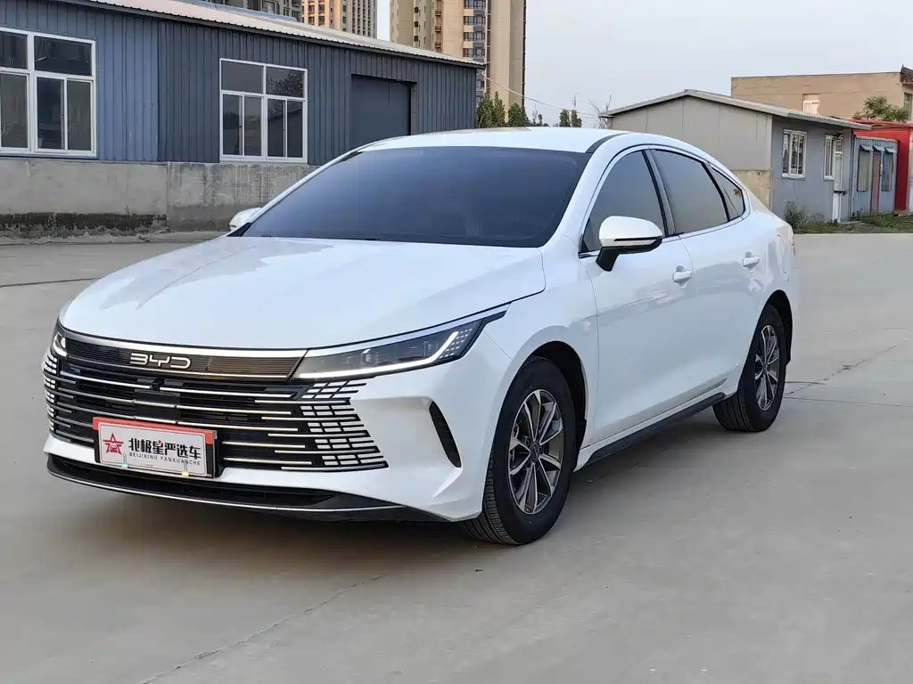 BYD Destroyer 05 2024