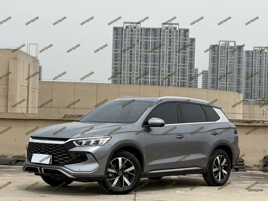 BYD Pro New Energy 2024