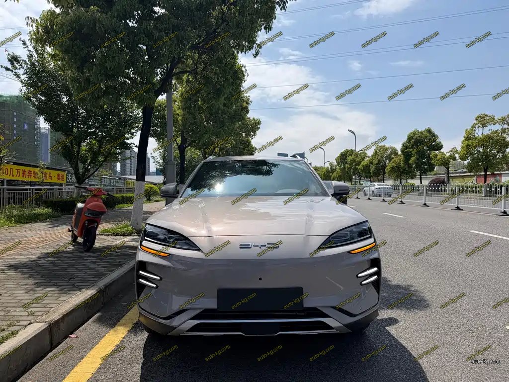BYD PLUS New Energy 2024