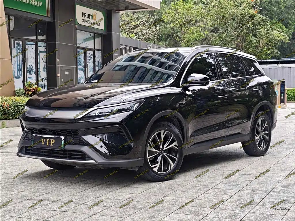 BYD Pro New Energy 2025