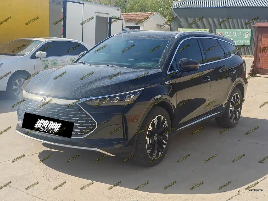 BYD Tang New Energy 2024