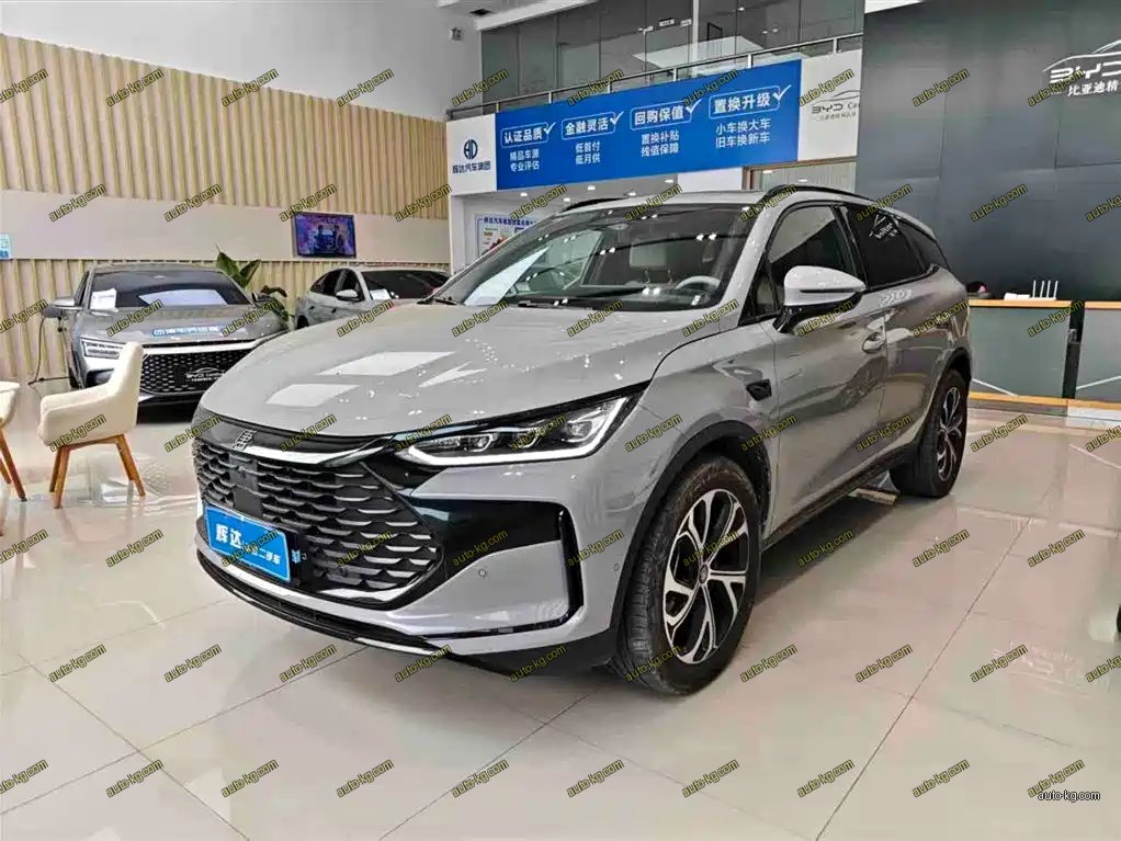 BYD Tang New Energy 2025