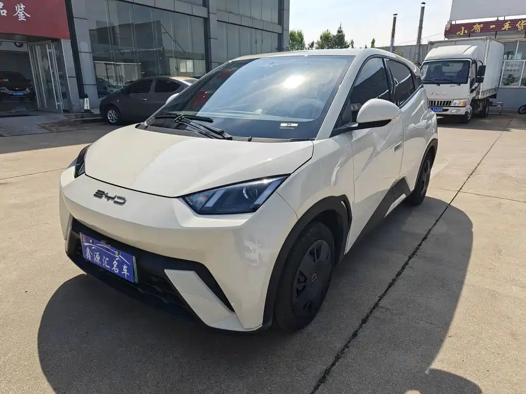 BYD Seagull 2024