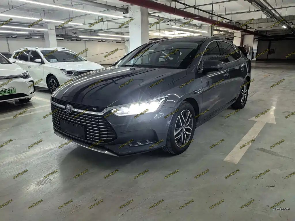 BYD Qin Pro NEV 2020