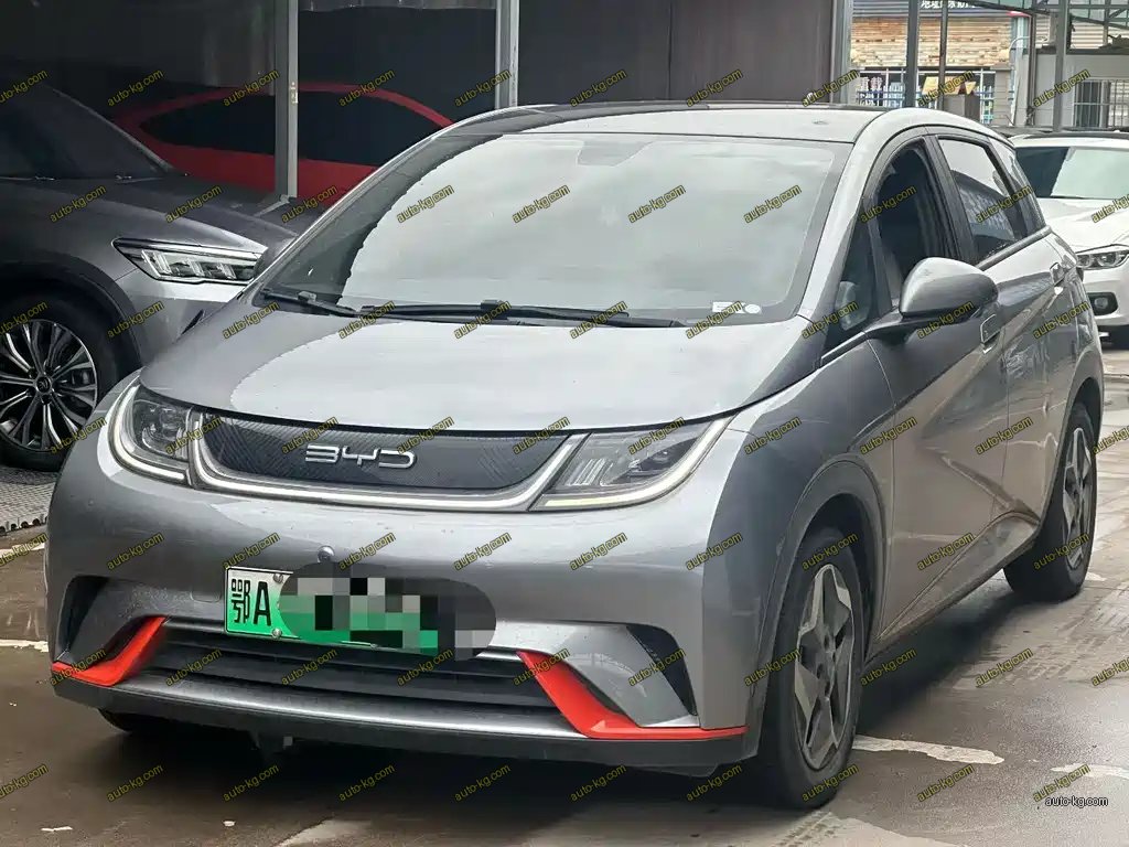 BYD Dolphin 2022