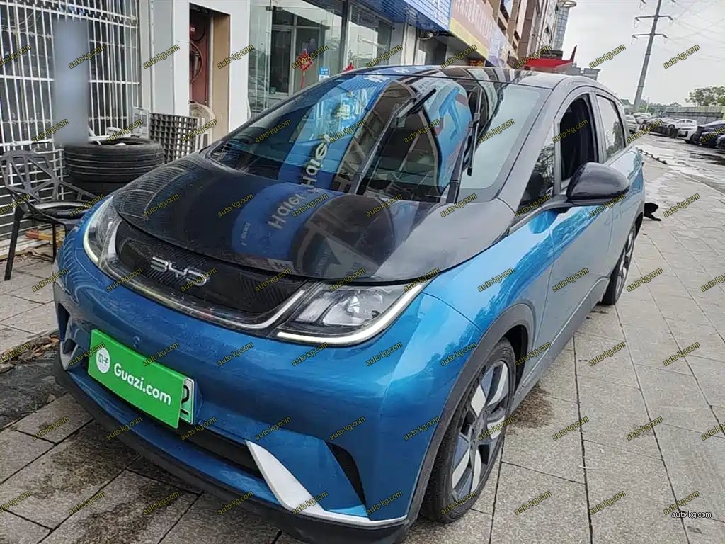 BYD Dolphin 2022