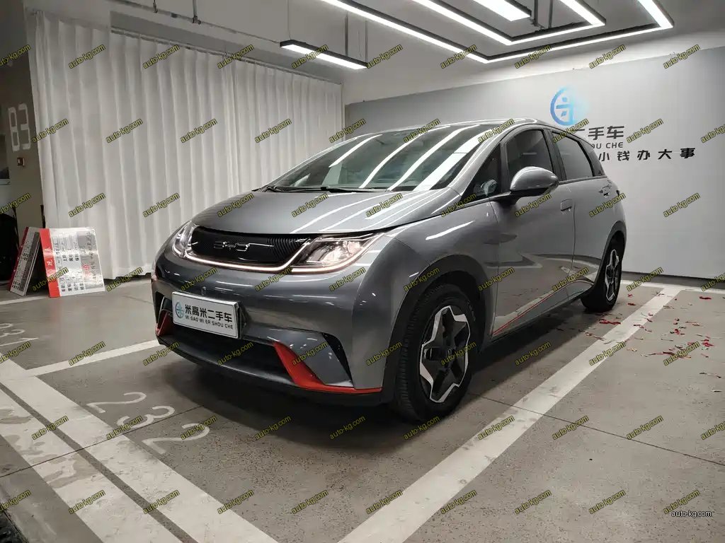 BYD Dolphin 2022