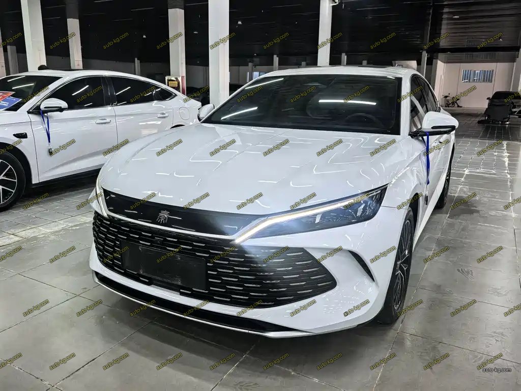 BYD Qin L 2024