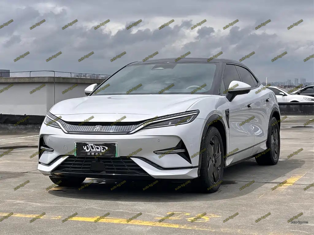 BYD L EV 2024