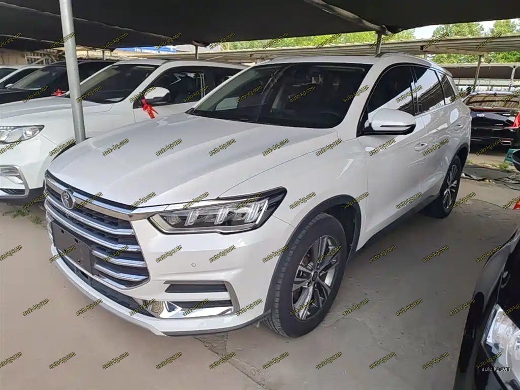 BYD Pro 2020