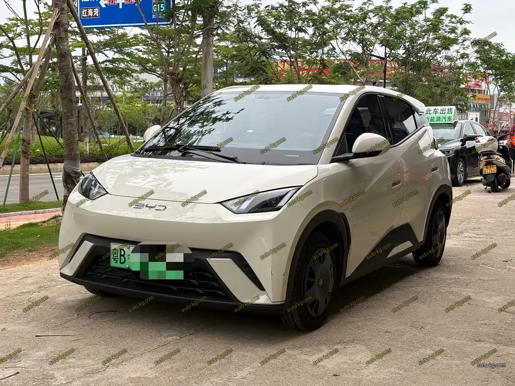 BYD Seagull 2024