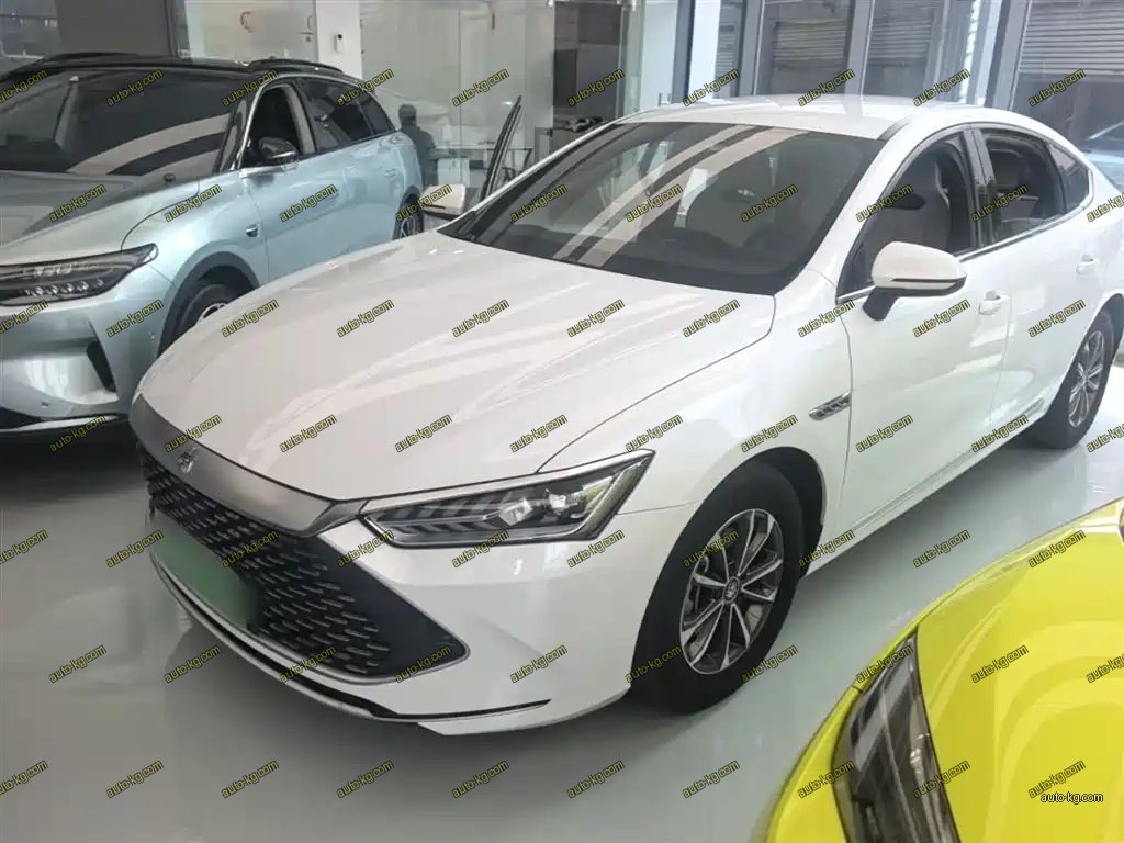 BYD Qin PLUS 2023