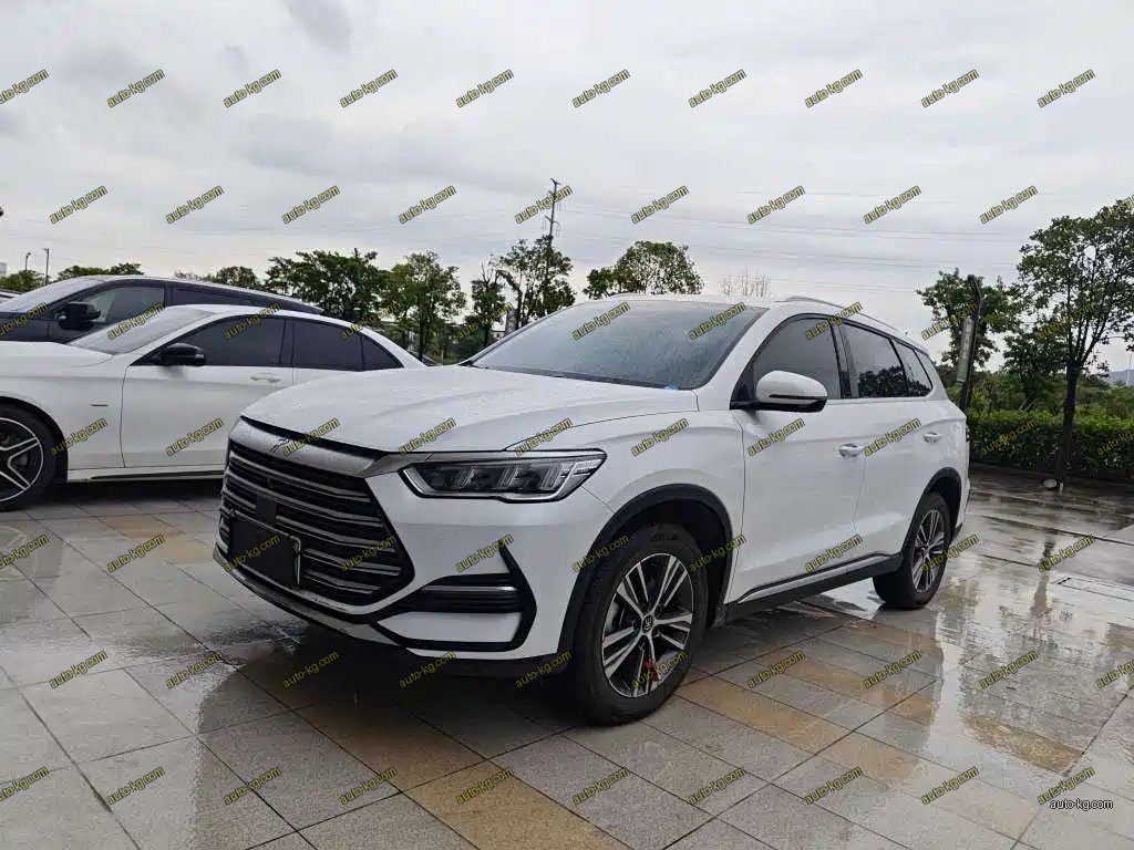 BYD Pro New Energy 2022