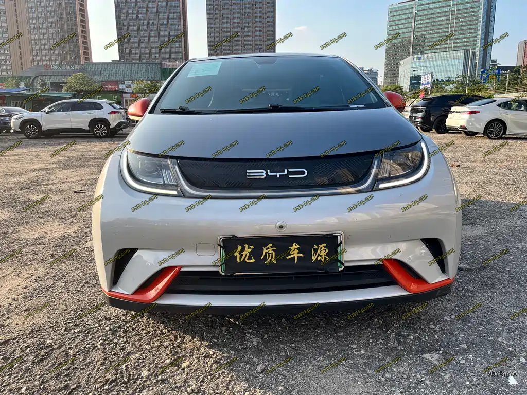 BYD Dolphin 2022