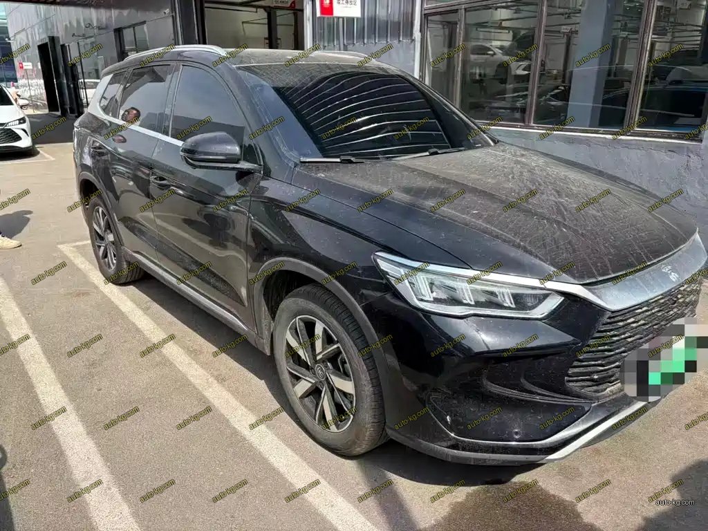 BYD Pro New Energy 2025