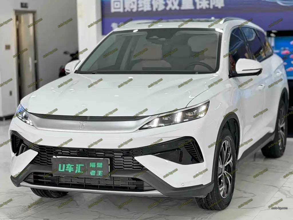 BYD Pro New Energy 2025