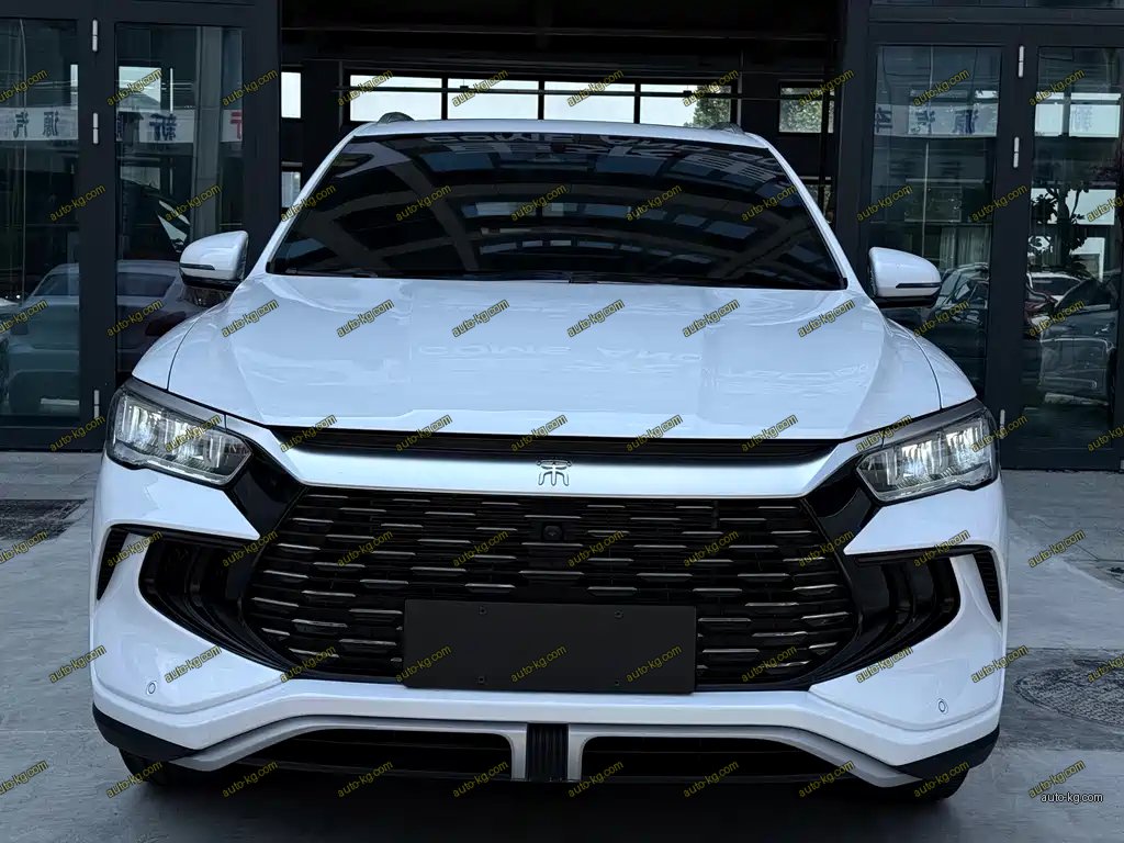 BYD Pro New Energy 2024