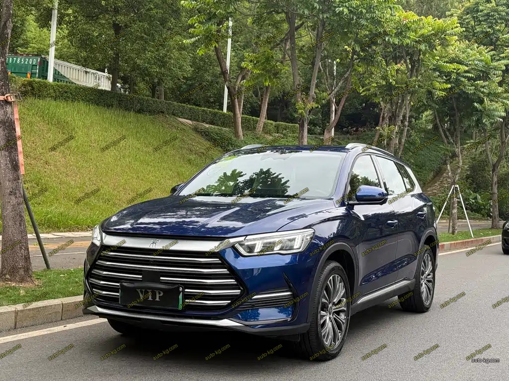 BYD Pro New Energy 2025