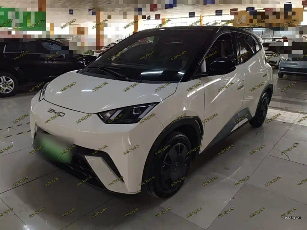 BYD Seagull 2024