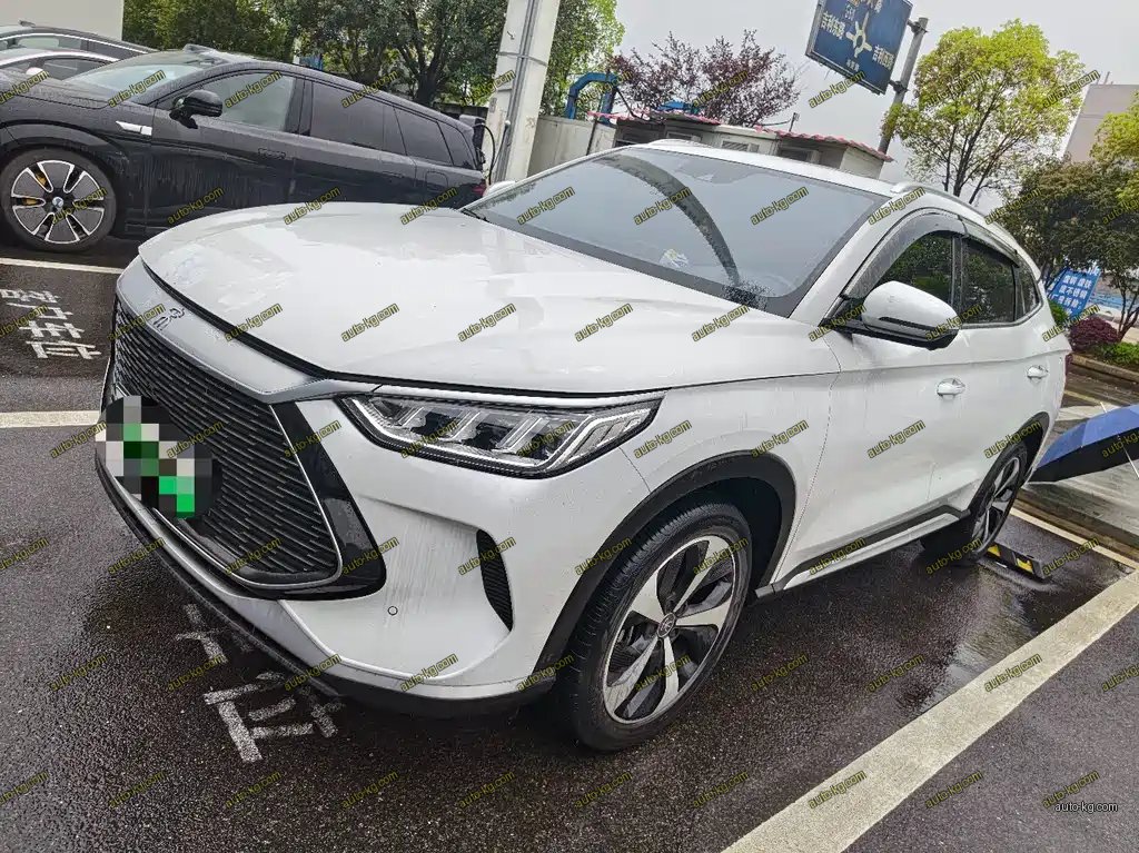BYD PLUS New Energy 2022