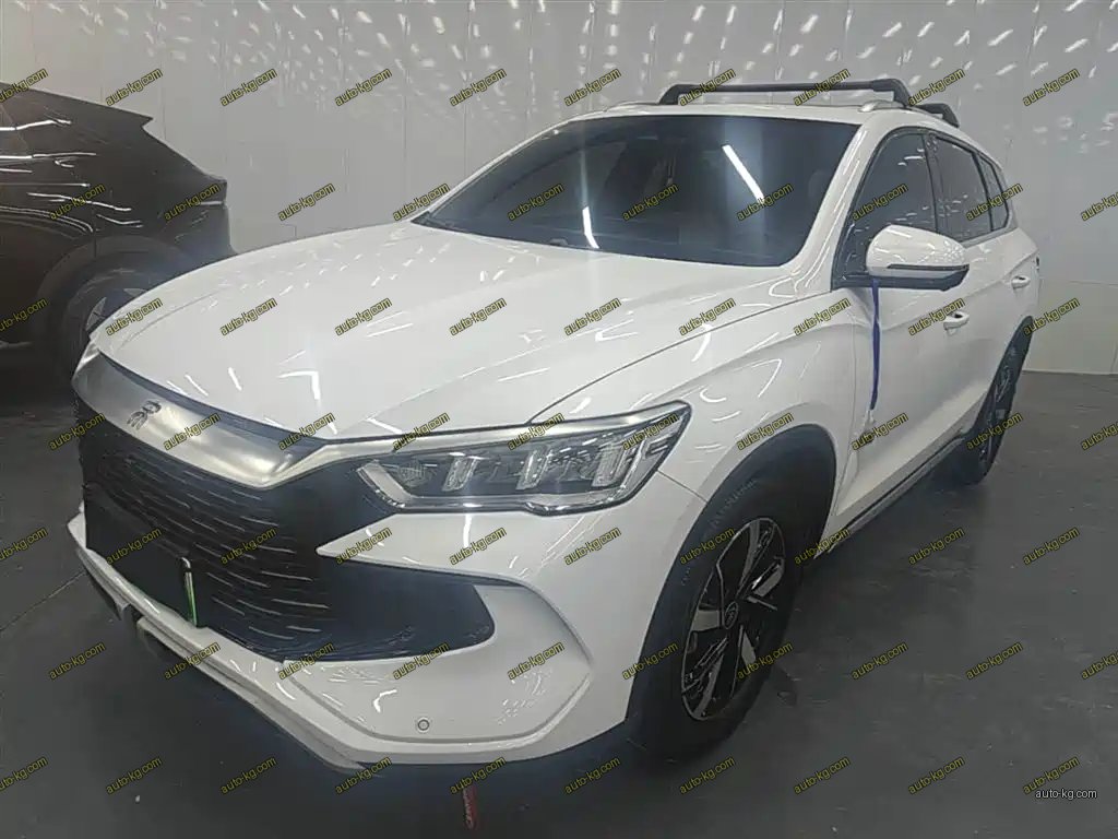 BYD Pro New Energy 2025
